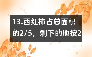 13.西紅柿占總面積的2/5，剩下的地按2:1的比種黃瓜和茄子。