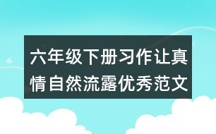 六年級下冊習(xí)作：讓真情自然流露優(yōu)秀范文500兩篇