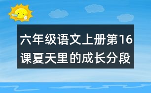 六年級(jí)語文上冊(cè)第16課夏天里的成長分段與段落大意