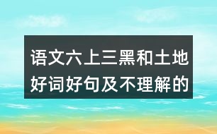 語(yǔ)文六上三黑和土地好詞好句及不理解的詞語(yǔ)