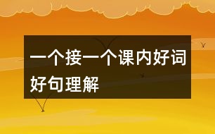 一個接一個課內(nèi)好詞好句理解