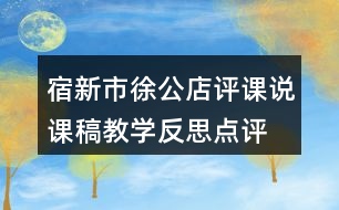 宿新市徐公店評課說課稿教學(xué)反思點(diǎn)評