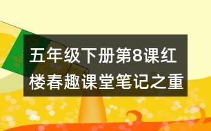 五年級下冊第8課紅樓春趣課堂筆記之重難點歸納