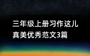 三年級(jí)上冊(cè)習(xí)作：這兒真美優(yōu)秀范文3篇