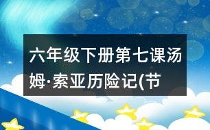 六年級下冊第七課湯姆·索亞歷險記(節(jié)選)筆記知識點(diǎn)