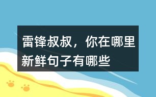 雷鋒叔叔，你在哪里新鮮句子有哪些