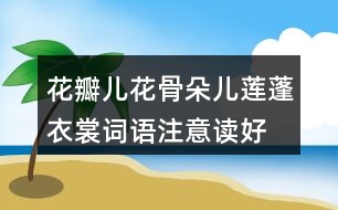 花瓣兒花骨朵兒蓮蓬衣裳詞語(yǔ)注意讀好