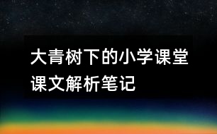 大青樹下的小學課堂課文解析筆記