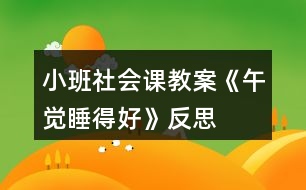 小班社會課教案《午覺睡得好》反思