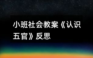 小班社會教案《認(rèn)識五官》反思