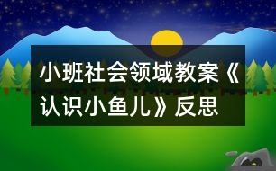 小班社會(huì)領(lǐng)域教案《認(rèn)識(shí)小魚(yú)兒》反思