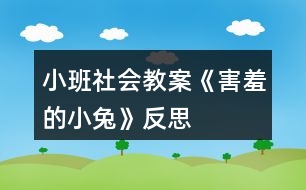 小班社會教案《害羞的小兔》反思