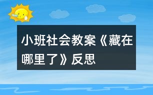 小班社會(huì)教案《藏在哪里了》反思