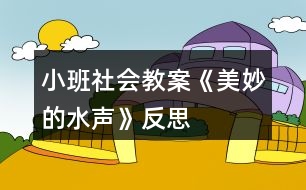 小班社會(huì)教案《美妙的水聲》反思