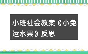 小班社會教案《小兔運(yùn)水果》反思