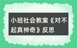 小班社會(huì)教案《對不起真神奇》反思