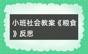 小班社會教案《糧食》反思