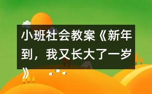 小班社會教案《新年到，我又長大了一歲》反思