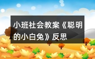 小班社會(huì)教案《聰明的小白兔》反思