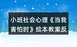 小班社會(huì)心理《當(dāng)我害怕時(shí)》繪本教案反思