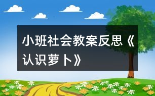 小班社會教案反思《認識蘿卜》