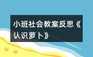 小班社會(huì)教案反思《認(rèn)識蘿卜》