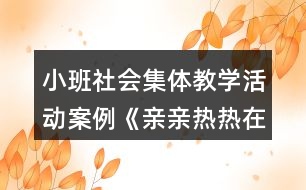 小班社會集體教學(xué)活動案例《親親熱熱在一起》教案反思