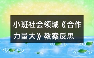 小班社會(huì)領(lǐng)域《合作力量大》教案反思