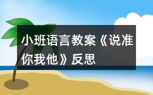 小班語言教案《說準你我他》反思