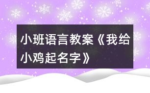 小班語言教案《我給小雞起名字》