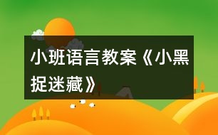 小班語(yǔ)言教案《小黑捉迷藏》