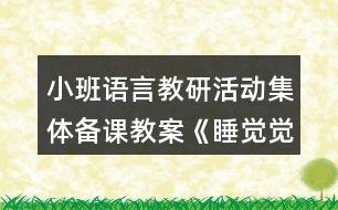 小班語言教研活動(dòng)集體備課教案《睡覺覺》反思