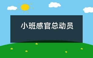 小班：感官總動(dòng)員