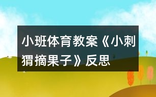 小班體育教案《小刺猬摘果子》反思