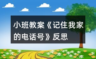 小班教案《記住我家的電話號(hào)》反思