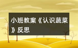 小班教案《認(rèn)識(shí)蔬菜》反思