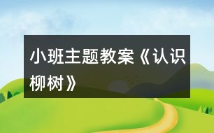 小班主題教案《認(rèn)識柳樹》