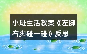 小班生活教案《左腳右腳碰一碰》反思