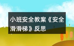 小班安全教案《安全滑滑梯》反思