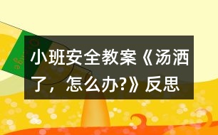 小班安全教案《湯灑了，怎么辦?》反思