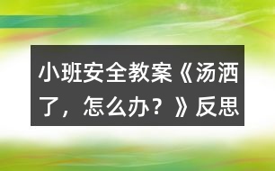 小班安全教案《湯灑了，怎么辦？》反思