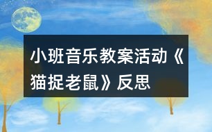 小班音樂教案活動(dòng)《貓捉老鼠》反思