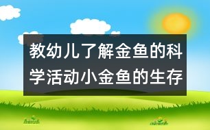 教幼兒了解金魚(yú)的科學(xué)活動(dòng)：小金魚(yú)的生存環(huán)境（原創(chuàng)）