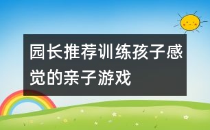 園長推薦訓(xùn)練孩子感覺的親子游戲