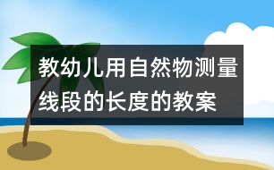 教幼兒用自然物測(cè)量線段的長(zhǎng)度的教案