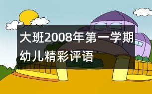 大班2008年第一學(xué)期幼兒精彩評(píng)語(yǔ)