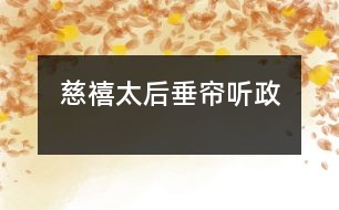 慈禧太后垂簾聽政