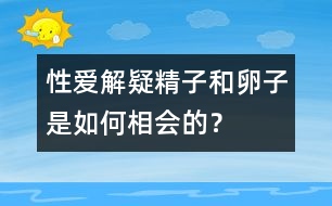 性愛解疑：精子和卵子是如何相會(huì)的？