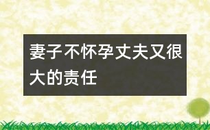 妻子不懷孕丈夫又很大的責(zé)任