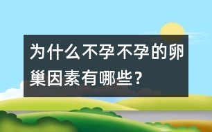 為什么不孕：不孕的卵巢因素有哪些？